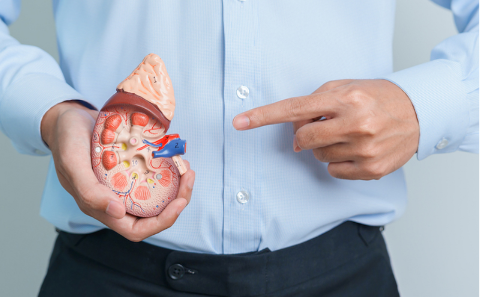 تحليل وظائف الكلي