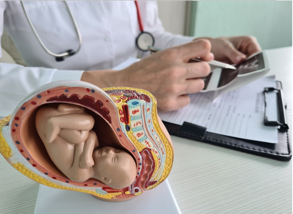 متابعة نمو الجنين