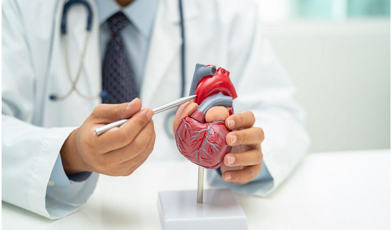 علاج ومتابعة امراض القلب