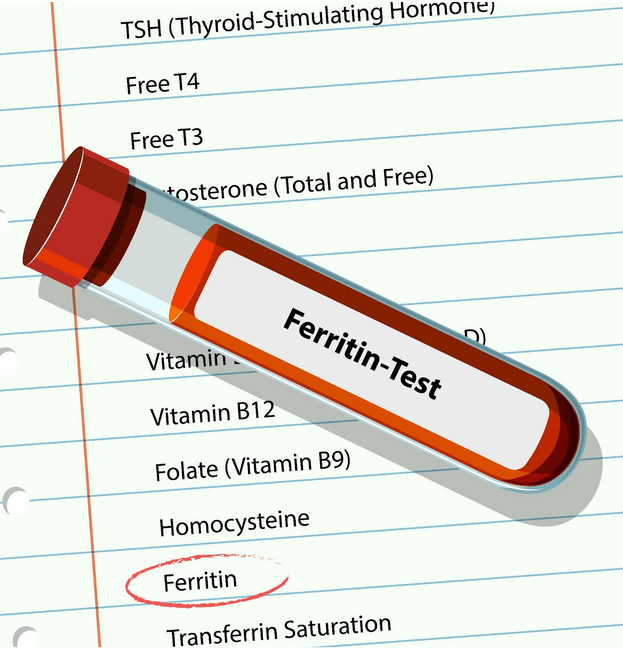 مخزون الحديد في الجسم